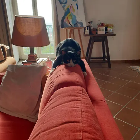 Accommodatie bij particulieren Risingsun *