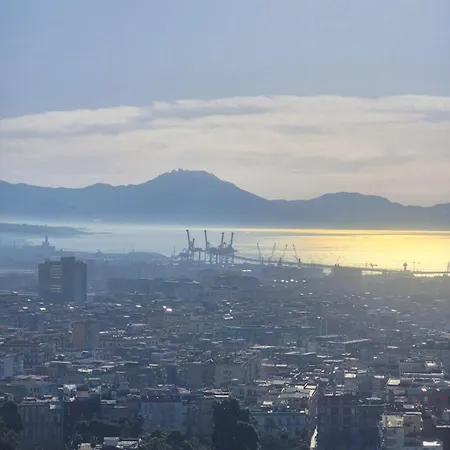 Проживание в семье Risingsun *